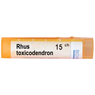 Rhus toxicodendron 15 ch