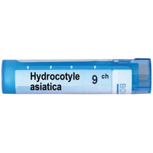 Hydrocotyle asiatica 9ch