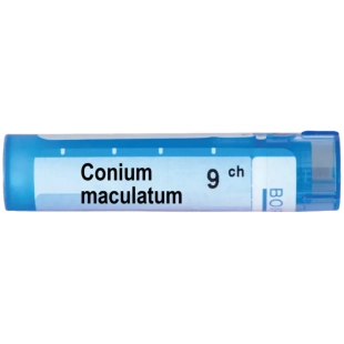 Conium maculatum 9 ch