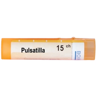 Pulsatilla 15 ch