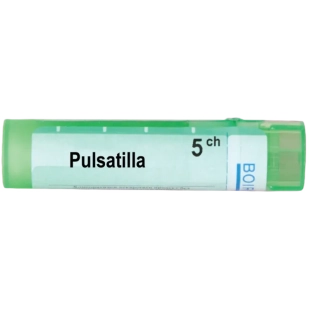 Pulsatilla 5 ch