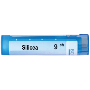 Silicea 9 ch