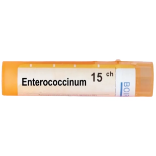 Enterococcinum 15 ch