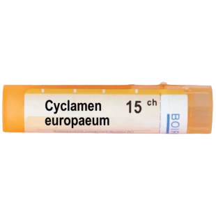 Cyclamen europeum 15 ch