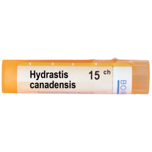 Hydrastis canadensis 15 ch