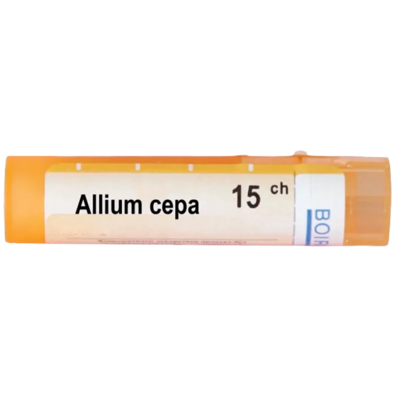 Allium cepa 15 ch