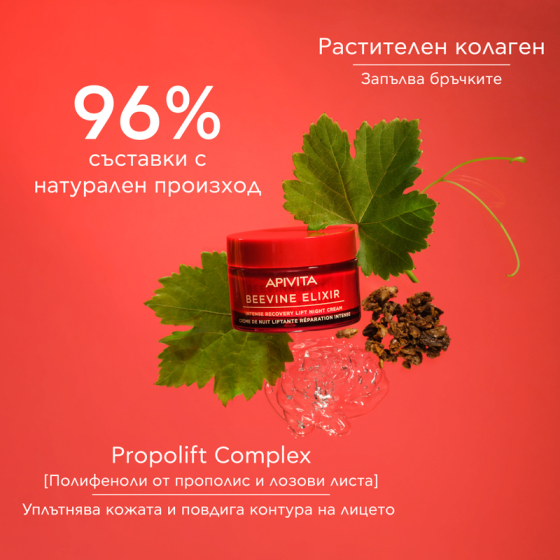 Apivita Beevine Elixir Обновяващ нощен крем с лифтинг ефект 50 мл