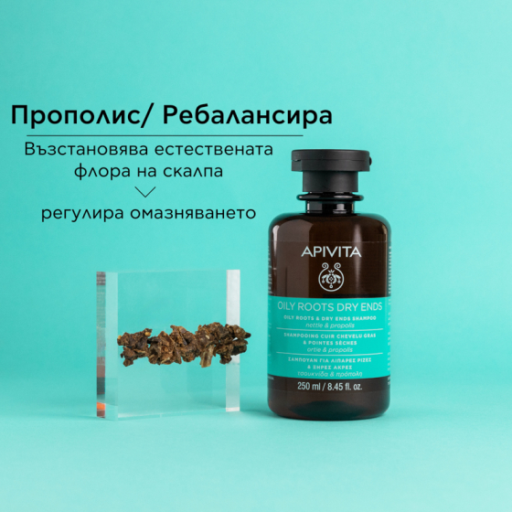 Apivita шампоан за мазни корени и сухи краища на косата с коприва и прополис 250ml