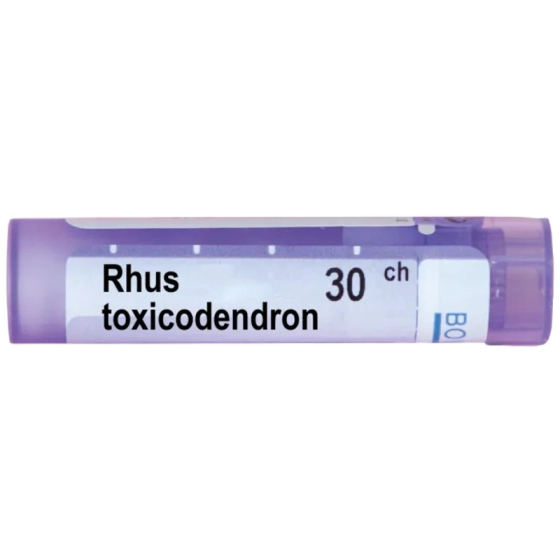 Rhus toxicodendron 30 ch