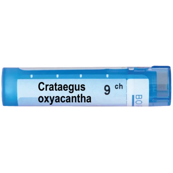 Crataegus oxyacantha 9 ch