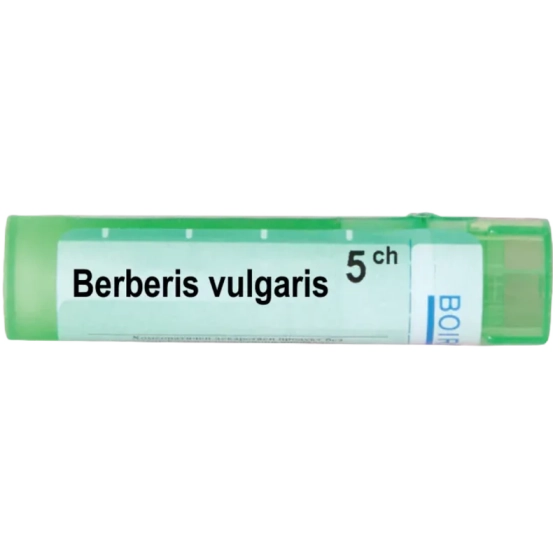Berberis vulgaris 5 ch