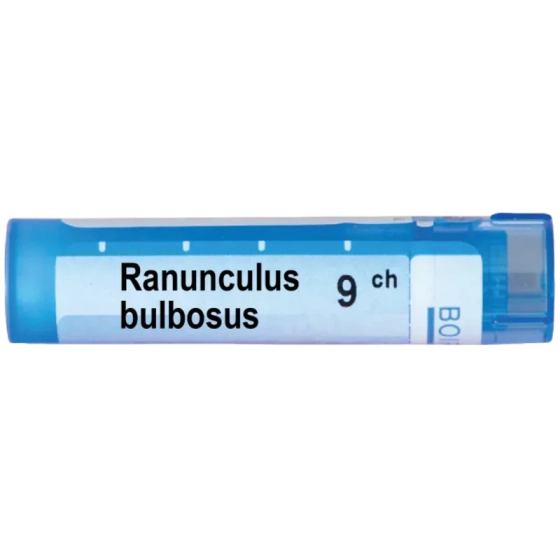Ranunculus bulbosus 9 ch